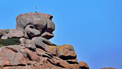 Krypto-Skandal: Do Kwon erhält 15 Jahre Haft in New York