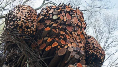 Aave-Untersuchung der SEC endet: Ein Ausblick auf DeFi-Zukunft