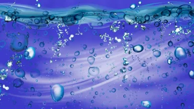 Ripple stärkt Zahlungsverkehr in Singapur trotz XRP-Rückgang