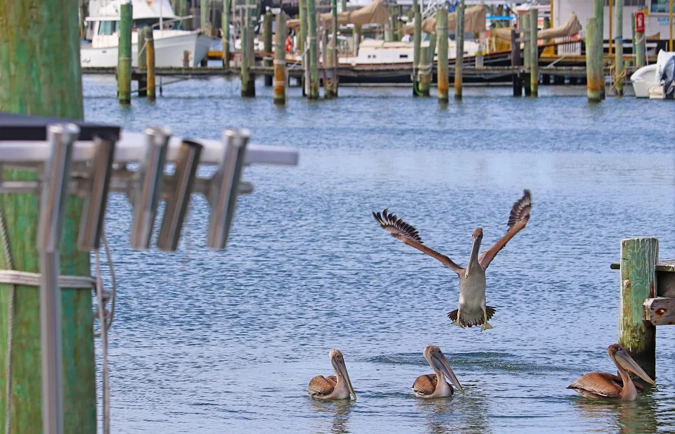 Bank of America: Crypto-Investitionen für Berater ab 2026