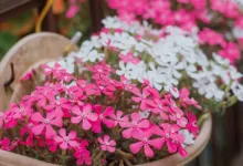 Ethereum Kursanalyse: Auf und Ab bis Ende 2025