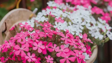 Ethereum Kursanalyse: Auf und Ab bis Ende 2025