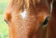 Monad-Kurs im Fokus: Potenzial für Aufschwung oder Gefahr?