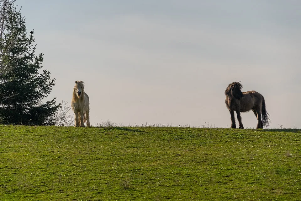 Neue Chancen im Kryptomarkt: APEMARS Presale weckt Interesse