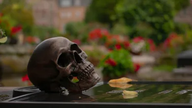 Bitcoin im Wandel: Zyklische Muster verlieren Bedeutung