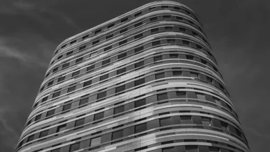 Kryptomarkt 2025: Bitcoin boomt, Unternehmen im Wandel