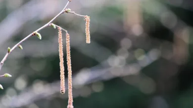 Polens Präsident blockiert strengen Krypto-Gesetzentwurf