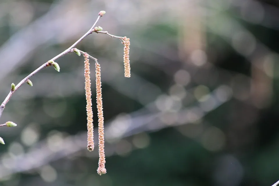 Polens Präsident blockiert strengen Krypto-Gesetzentwurf