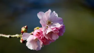 BeInCrypto: Auszeichnung für Spitzenberichterstattung in Krypto