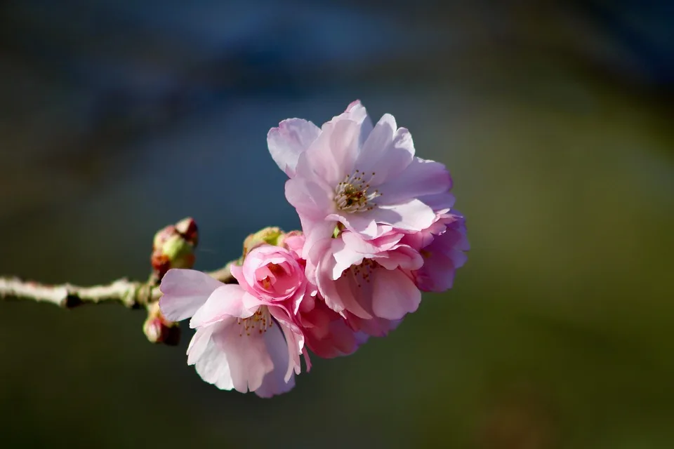 BeInCrypto: Auszeichnung für Spitzenberichterstattung in Krypto