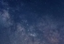 Investoren beobachten Mutuum Finance: Neue Krypto-Chancen