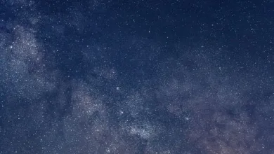 Investoren beobachten Mutuum Finance: Neue Krypto-Chancen