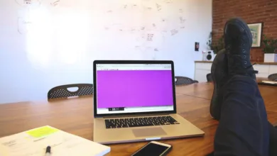 Presales im Kryptomarkt: Chancen für Investoren und Startups