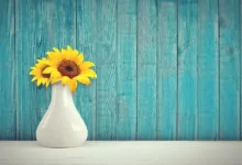 Kursverfall der IREN-Aktie: Hintergründe und Prognosen