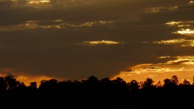 Bitcoin-Blick: Stabile Kursbewegungen zum Jahresende