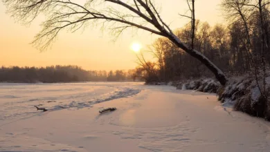 Krypto-Markt im Dezember: Bitcoin schwankt zwischen Ängsten