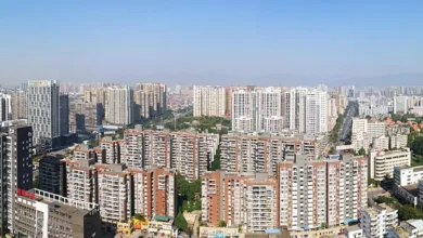 Krypto-ETFs 2025: Wohin sich Bitcoin und Solana entwickeln