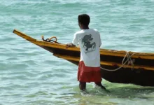 TAO und Bittensor: Chancen und Risiken für lokale Investoren