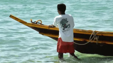 TAO und Bittensor: Chancen und Risiken für lokale Investoren