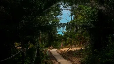 XRP-Kurs 2025: Zwischen Konsolidierung und neuer Hoffnung