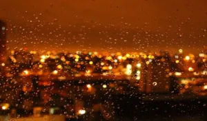 Dogecoin-Kurs bleibt stabil: Was sind die nächsten Schritte?