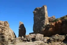 Altcoins 2025: Stabilität durch starke Fundamentaldaten