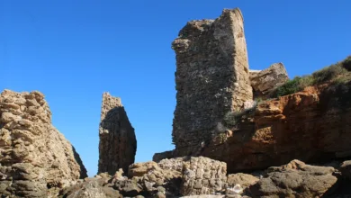 Altcoins 2025: Stabilität durch starke Fundamentaldaten