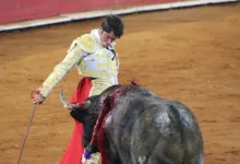 Matador Technologies startet Kapitalrunde zur Bitcoin-Ausweitung