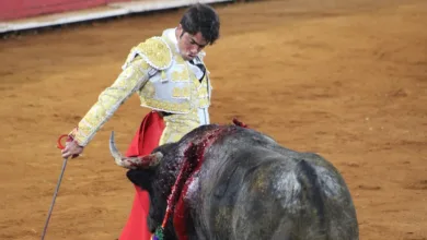 Matador Technologies startet Kapitalrunde zur Bitcoin-Ausweitung