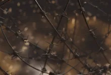 Kampf gegen Piraterie: Finanzströme im Fokus der Strategie