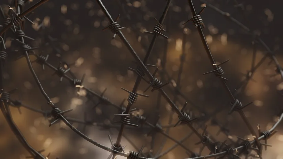 Kampf gegen Piraterie: Finanzströme im Fokus der Strategie