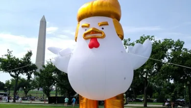 Donald Trump Jr.: Der Weg seines Krypto-Reichtums in Vegas