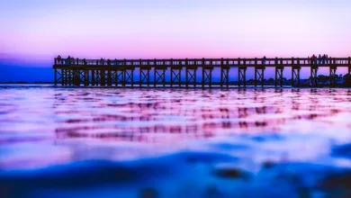 Connecticut untersagt Robinhood und Crypto.com Sportwettenverträge