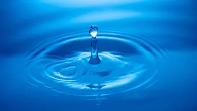 Ripple und AMINA Bank: Neuer Anlauf für internationale Zahlungen