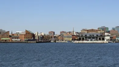 Bitcoin-Kurs fällt: Analysten warnen vor entscheidendem Rückgang