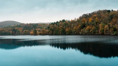 Die Revolution der Krypto-Finanzierung: Autonomie als Standard