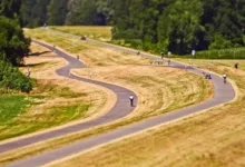 XRP und KI-Mining: Wege zu stabilen Gewinnen im Kryptomarkt