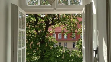 Krypto-Politik 2025: Ein Blick auf wichtige Entwicklungen