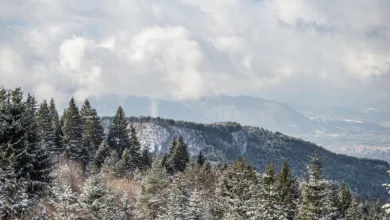 Kryptomarkt fällt auf Acht-Monats-Tief: Experten warnen