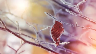 Bitcoin im Fall – Doch die Zukunft bleibt ungewiss