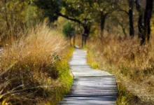 Mutuum Finance: Übergang zu einer neuen DeFi-Phase