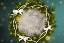 Digitaler Euro-Stablecoin: Ein Meilenstein für Europa