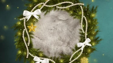 Digitaler Euro-Stablecoin: Ein Meilenstein für Europa