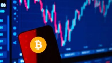 Krypto-Markt: Rückgang der Spekulation stärkt Bitcoin-Basis