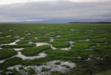 Zcash in der Krise: Entwickler treten zurück und Markt reagiert