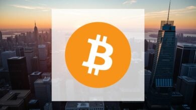 Institutionelle Investoren setzen auf Bitcoin über 95.000 Dollar