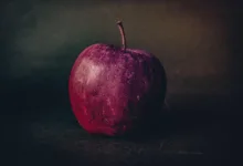 VanEck bringt ersten Avalanche ETF für Anleger in den USA