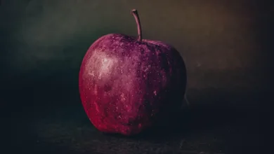 VanEck bringt ersten Avalanche ETF für Anleger in den USA