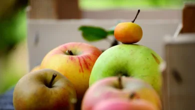 Unterschiede zwischen Bitcoin-Fonds und Krypto-ETFs verstehen