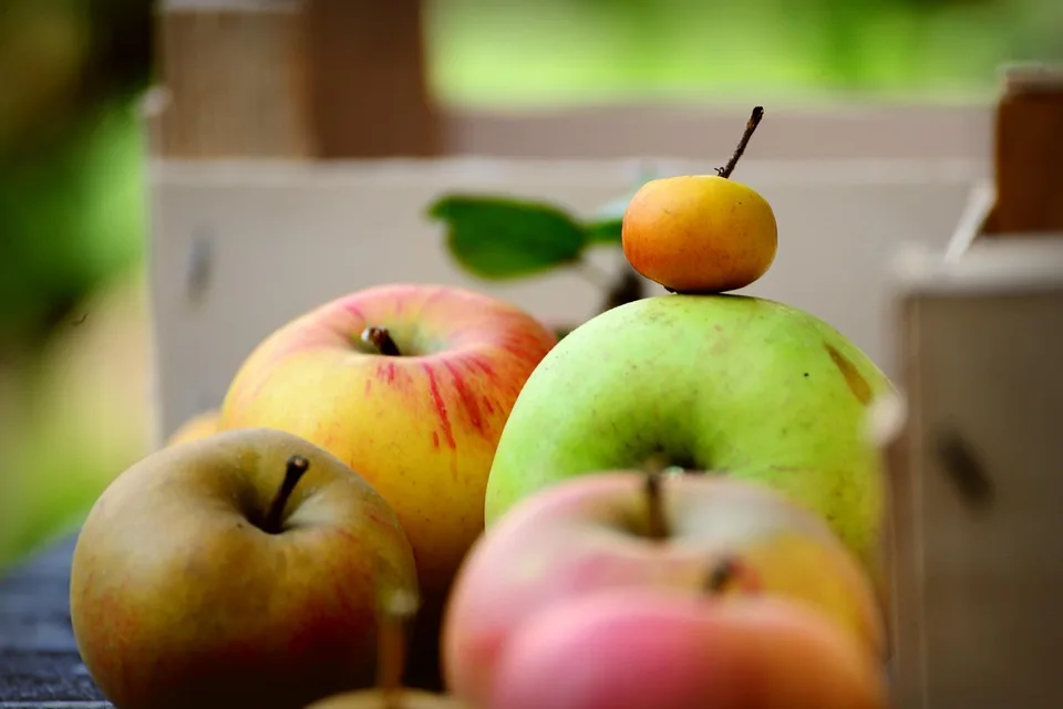 Unterschiede zwischen Bitcoin-Fonds und Krypto-ETFs verstehen